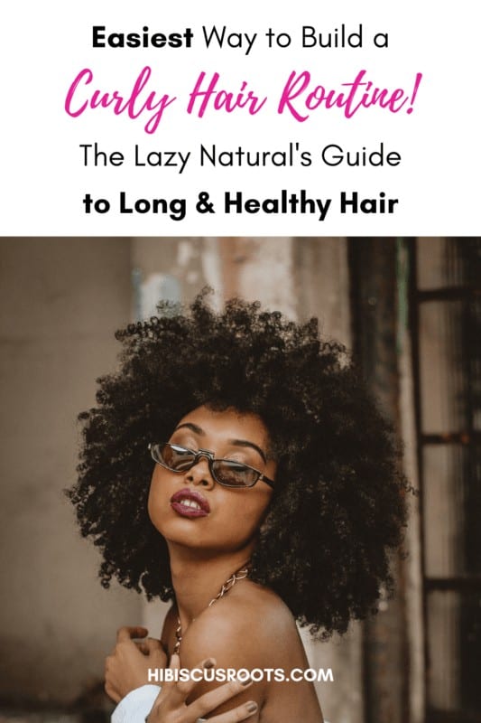 Beginner-Friendly Ayurvedic Hair Regimen for Natural Hair Growth!