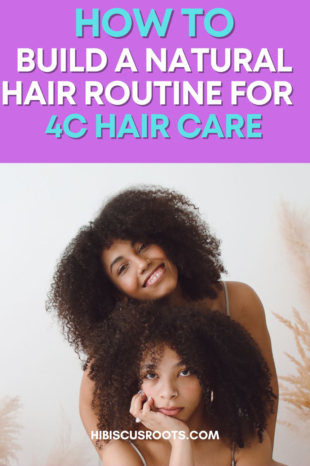 Beginner-Friendly Ayurvedic Hair Regimen for Natural Hair Growth!