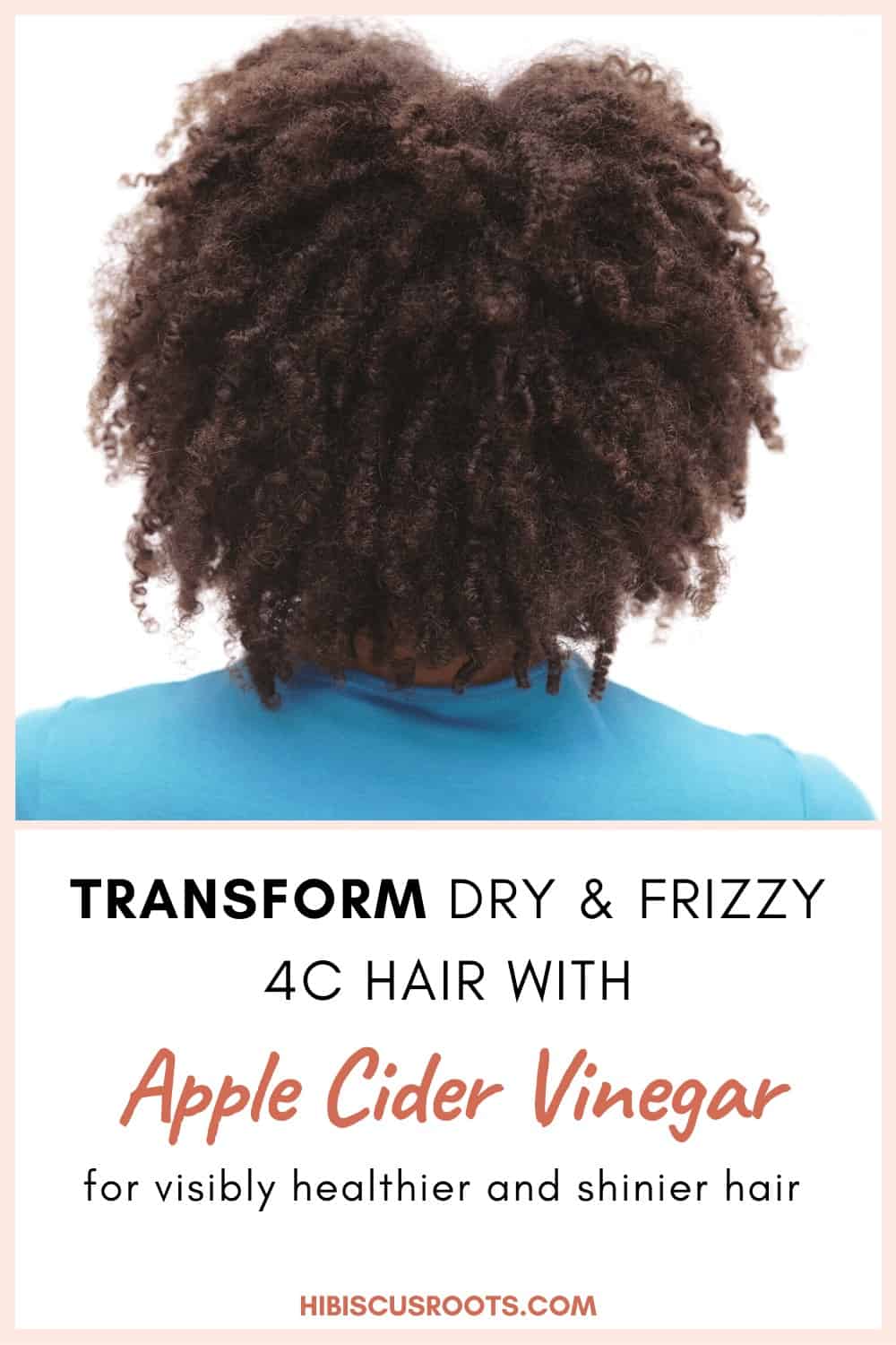 apple cider vinegar rinse