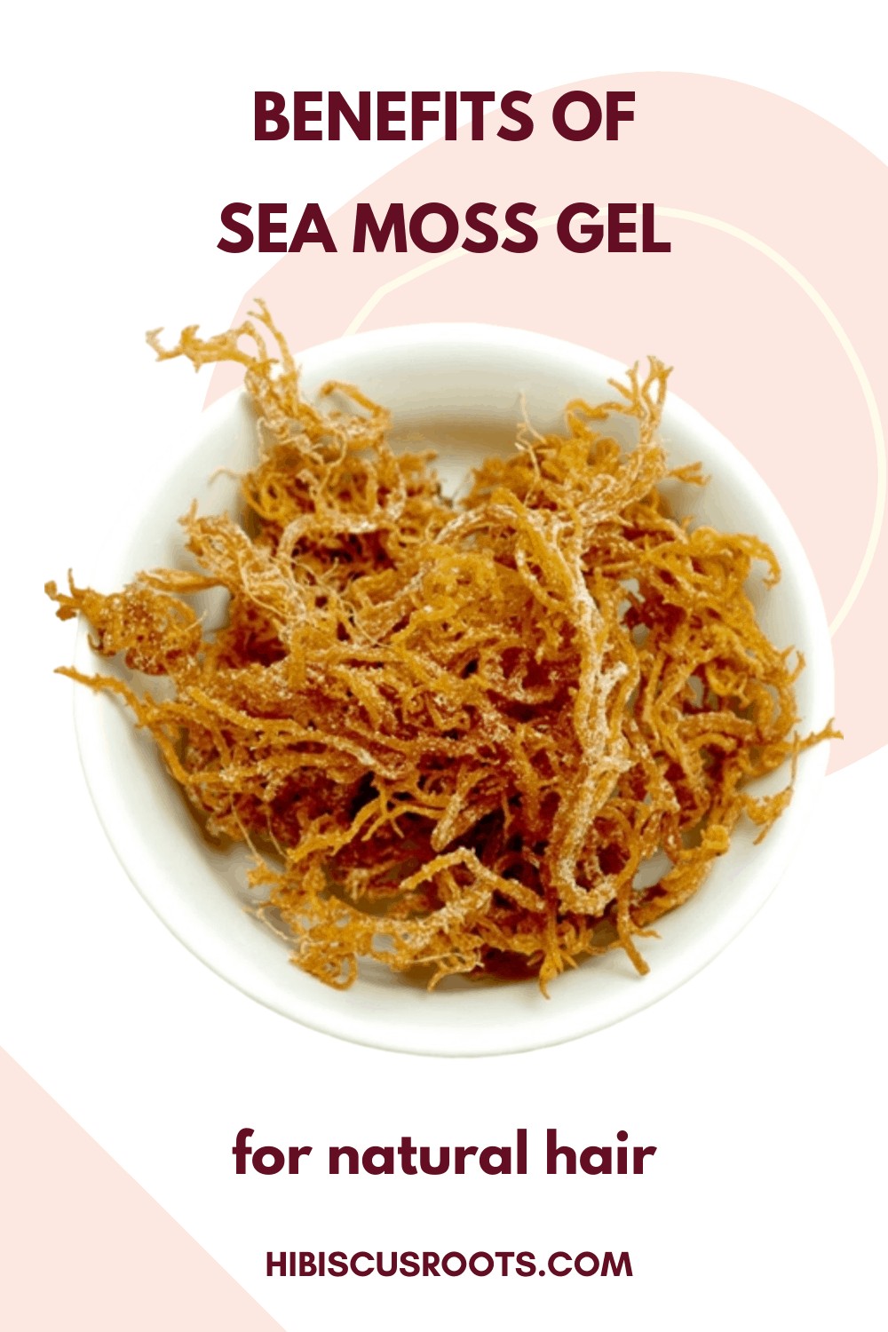 The Incredible Benefits of Sea Moss Gel for Natural Hair!