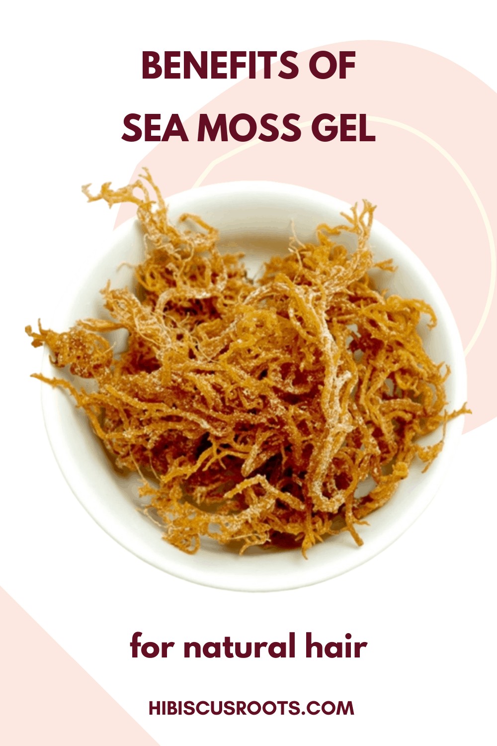 6 Incredible Benefits of Sea Moss for Natural Hair!