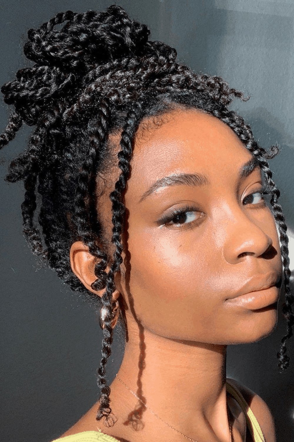 11 Ways Mini Twists Grow 4c Natural Hair Hibiscus Roots