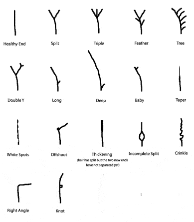 split ends on natural hair