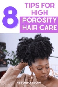 The Complete Guide: High Porosity 4C Hair | Hibiscus Roots