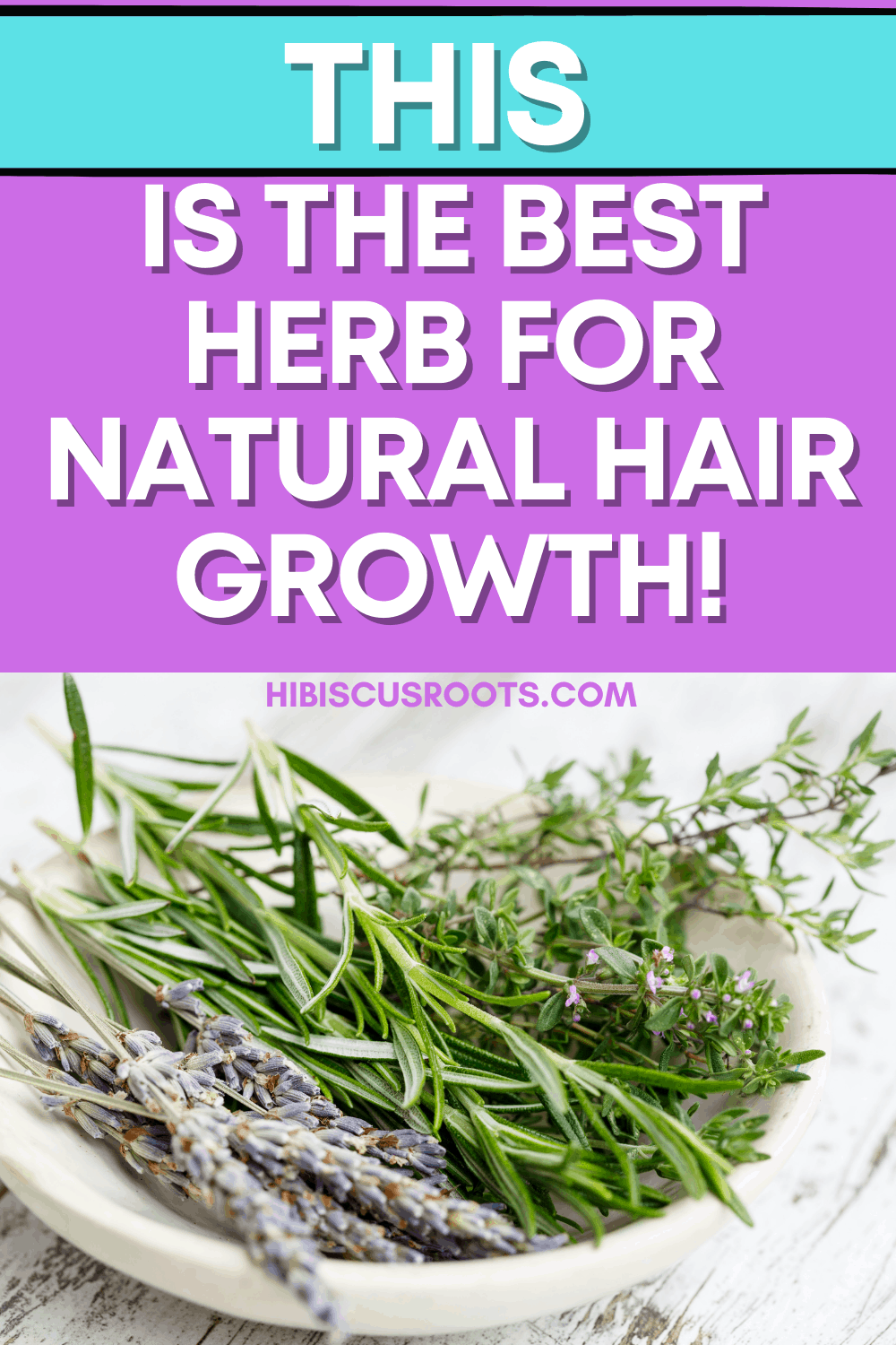 Why Rosemary is the BEST Herb for Natural Hair Growth! Hibiscus Roots