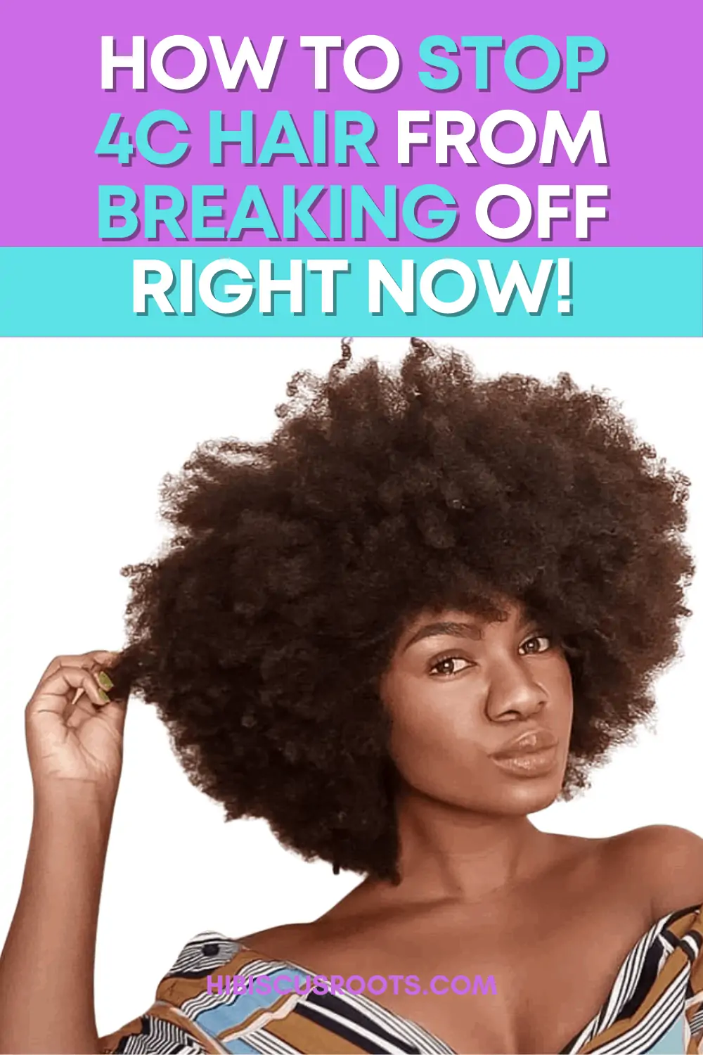How to Stop Breakage on 4C Natural Hair NOW!