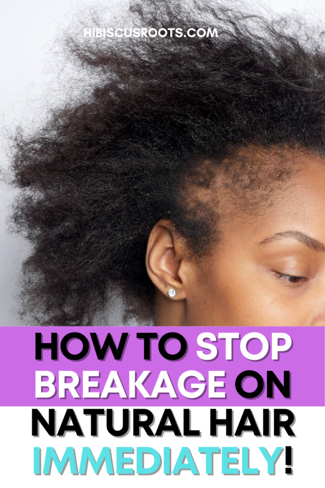 How to Stop Breakage on 4C Natural Hair NOW! | Hibiscus Roots