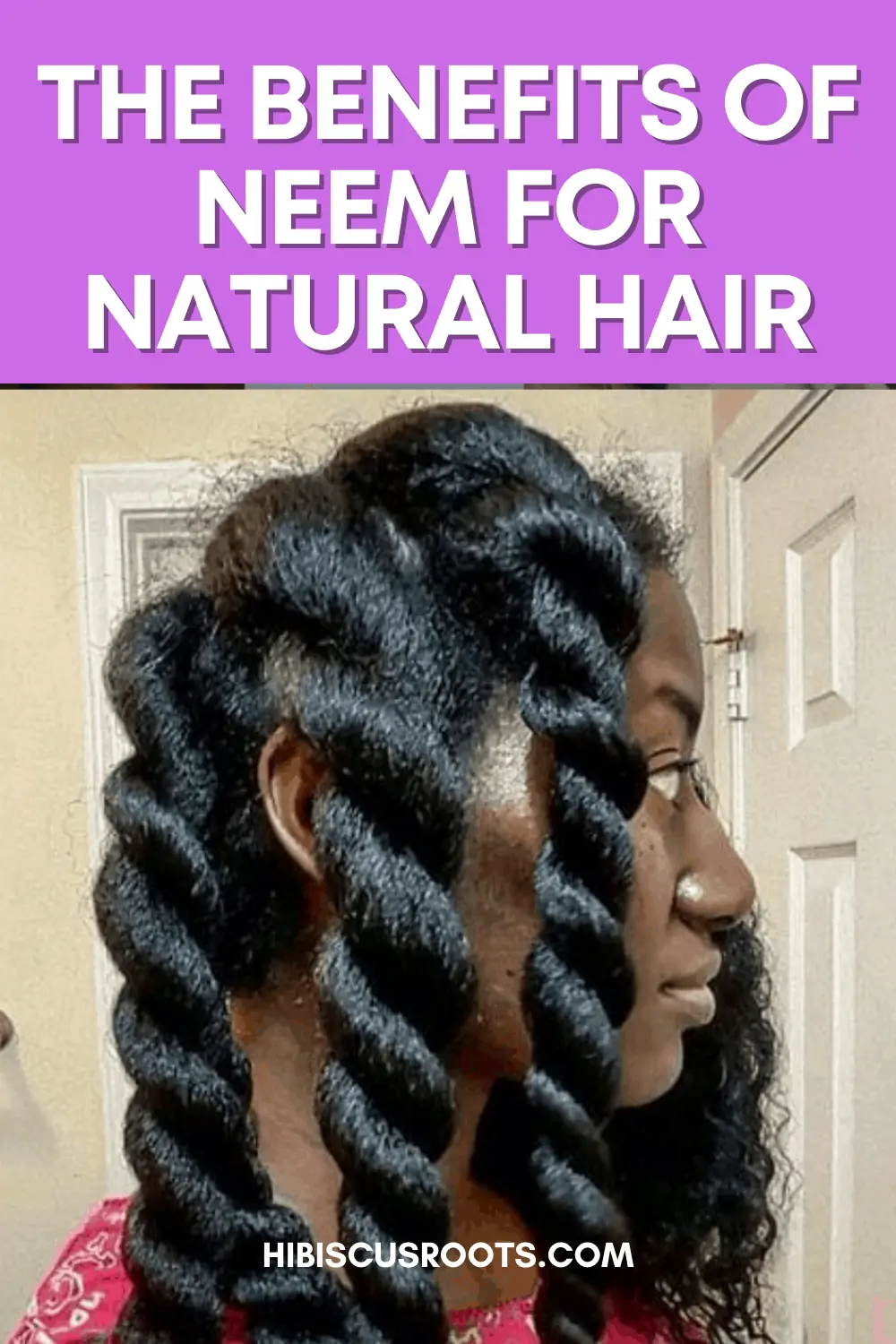 Why You Should Start Using Neem in Your Natural Hair Routine TODAY!