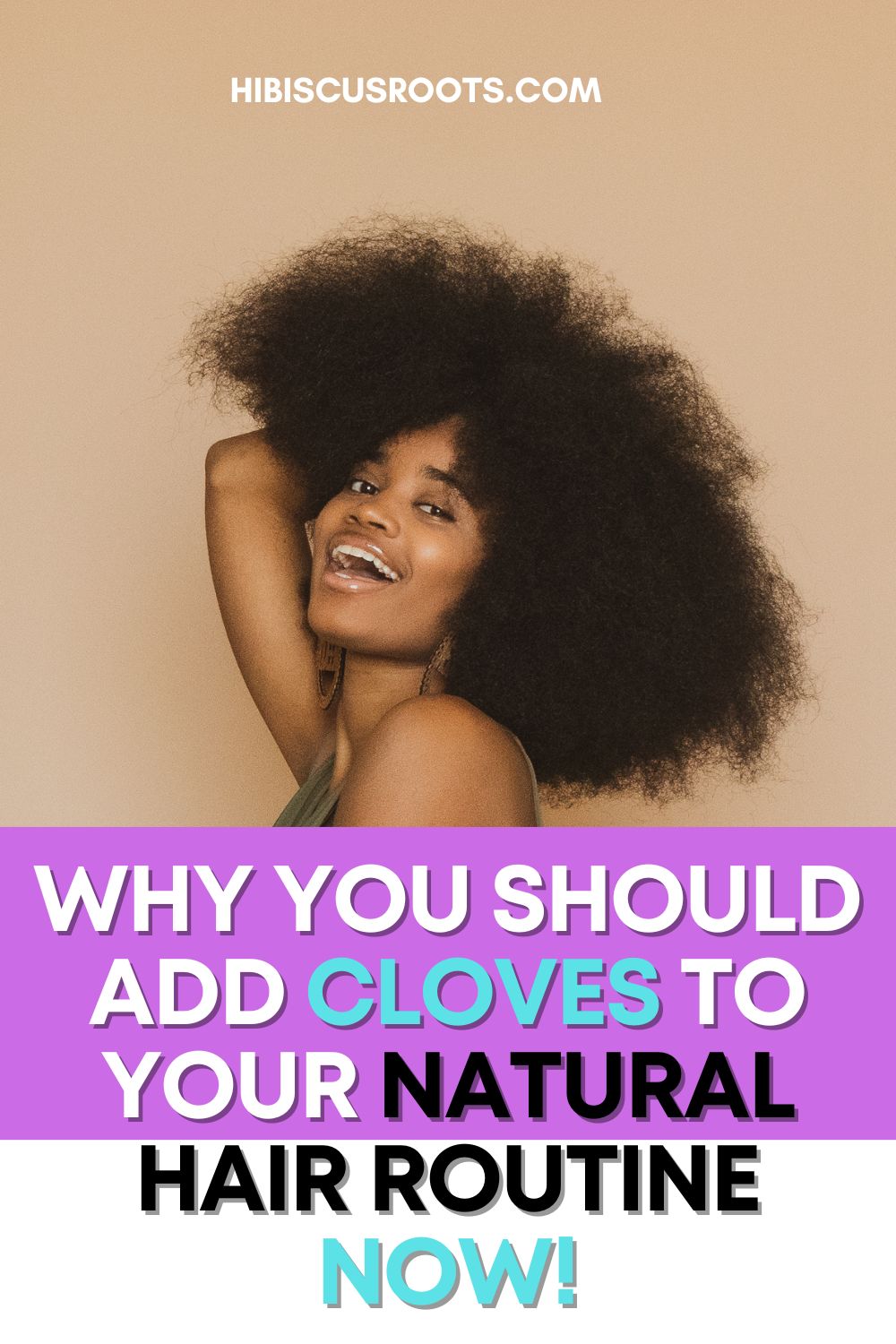 Cloves for Natural Hair Growth: DEBUNKED! | Hibiscus Roots