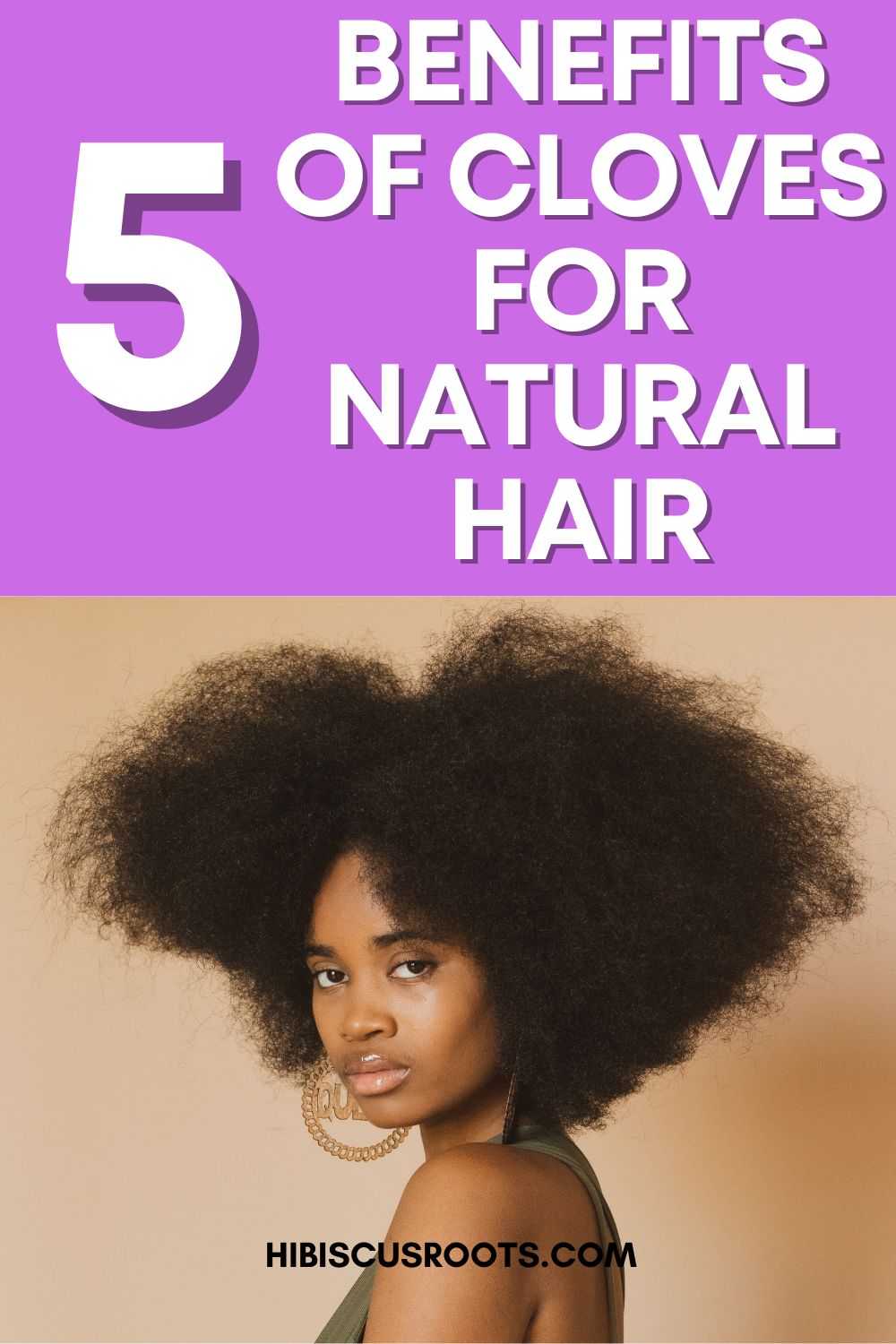 Cloves for Natural Hair Growth: DEBUNKED! | Hibiscus Roots