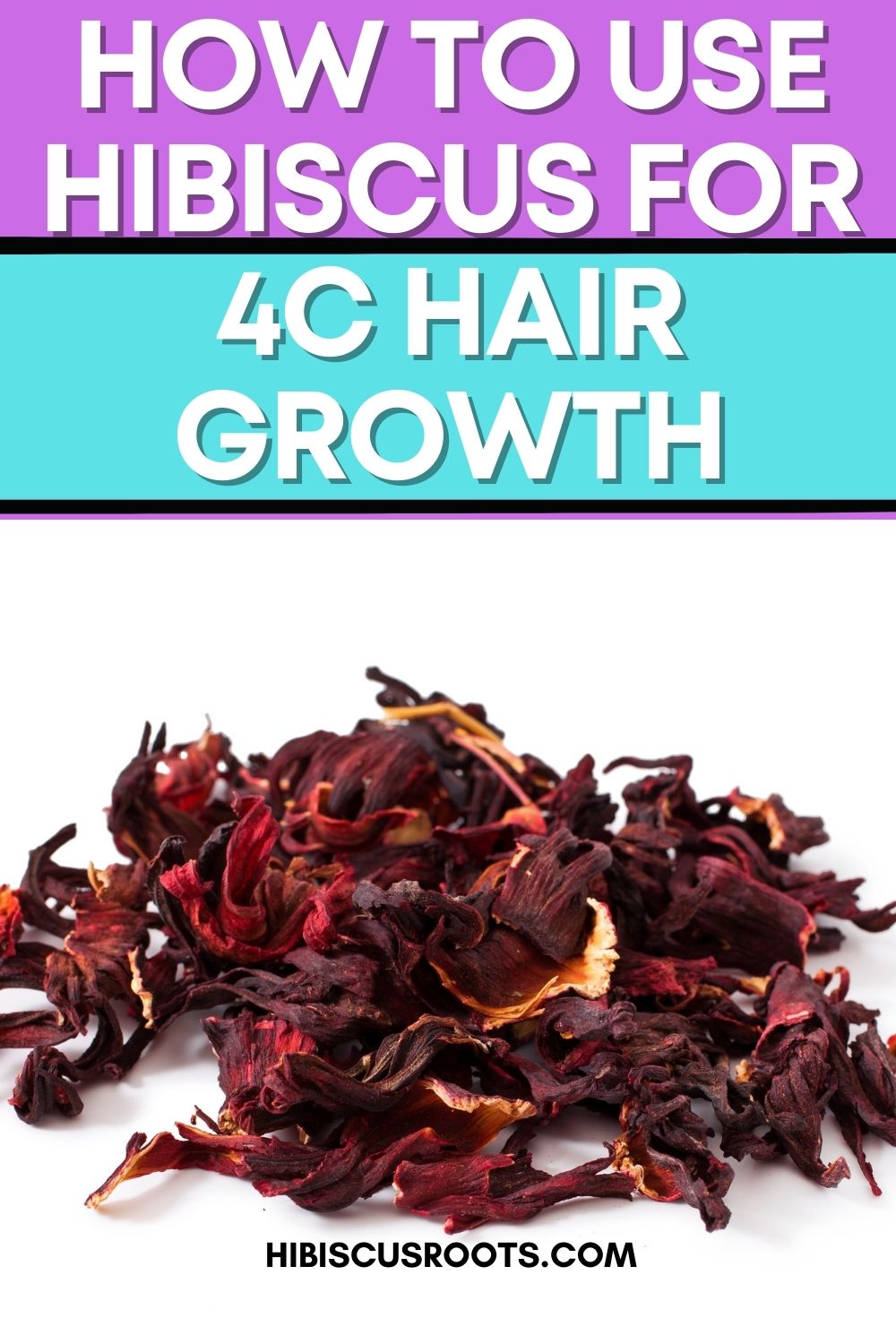 Why Hibiscus Is Our Favorite Ingredient for Healthy Natural Hair!