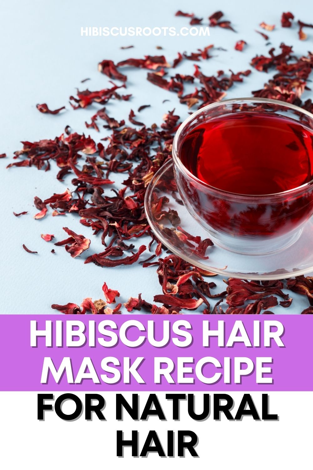 Why Hibiscus Is Our Favorite Ingredient for Healthy Natural Hair!