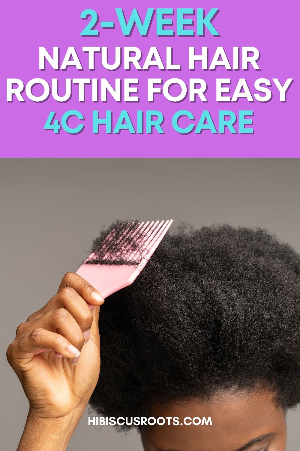 2-Week Easy Routine for Healthy 4C Natural Hair!